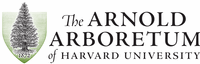 Arnold Arboretum of Harvard University Logo